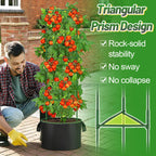 ANPHSIN Sturdy Triangle Tomato Cage with Movable 10 Gal Grow Bags, 3 Sets