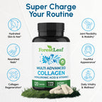 ForestLeaf Multi Collagen Pills with Hyaluronic Acid + Vitamin C | Hydrolyzed Collagen Supplements for Women or Men | Multi Collagen Capsules Peptides for Skin, Wrinkles, 120 Caps