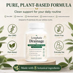 Megacephalus Lymphatic Drainage Capsules, Natural Herbal Supplements with Dandelion Extract, Burdock, Kelp & Echinacea, Supports Cellulite Reduction, Lymph Node Detox Cleanse & Immune Health (1)