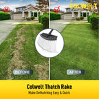 Colwelt Thatch Rake, Dethatcher Rake with Thin, Curved Spring Steel Tines, Dethatching Thatching Rake for Lawns with 61’’ Steel Handle, Lawn Tine Rakes for Pine Needles, Dead Grass, Garden Debris