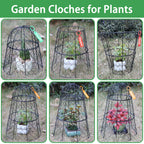 6 PCS 17.7"H X 11.42"D Garden Cloches,Chicken Wire Plant Covers Protectors Modular Design for Customizable Protection,Rust-Proof Heavy Duty Metal Plant Cage for Seedlings Flowers Protect from Animals