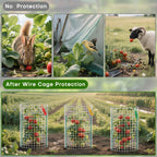 10 Set Plant Protectors from Animals, Galvanized Plant Cages for Outdoor