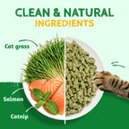 Just Try Cat Grass Treats for Indoor Cats Hairball Control 13.4 OZ