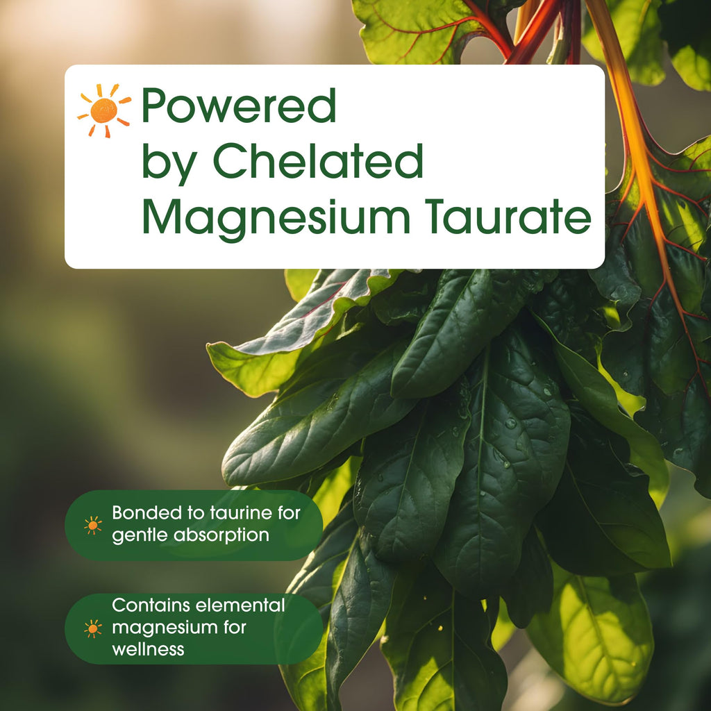 NatureBell Magnesium Taurate - 240 Capsules - 1,500mg High Absorption Chelated Formula - with Amino Acid Taurine - Heart Health, Nervous System, Muscle & Bone Health Support*