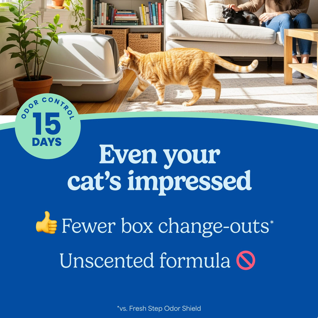 Fresh Step Advanced Ever Fresh Multi Cat Clumping Cat Litter, Unscented, Low Dust, Odor Control with Ammonia Block Tech, Compatible in Automatic Litter Boxes, 32 lb. (2 x 16 lb.)