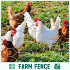 GlikCeil 12 in x 300 ft Chicken Wire Mesh Fencing for Floral Garden, 23 Gauge Silver Galvanized Steel Wire, 1 Inch Hexagonal Hardware Cloth Netting for Farm Crafts Poultry Coop Barrier Rabbit Cage