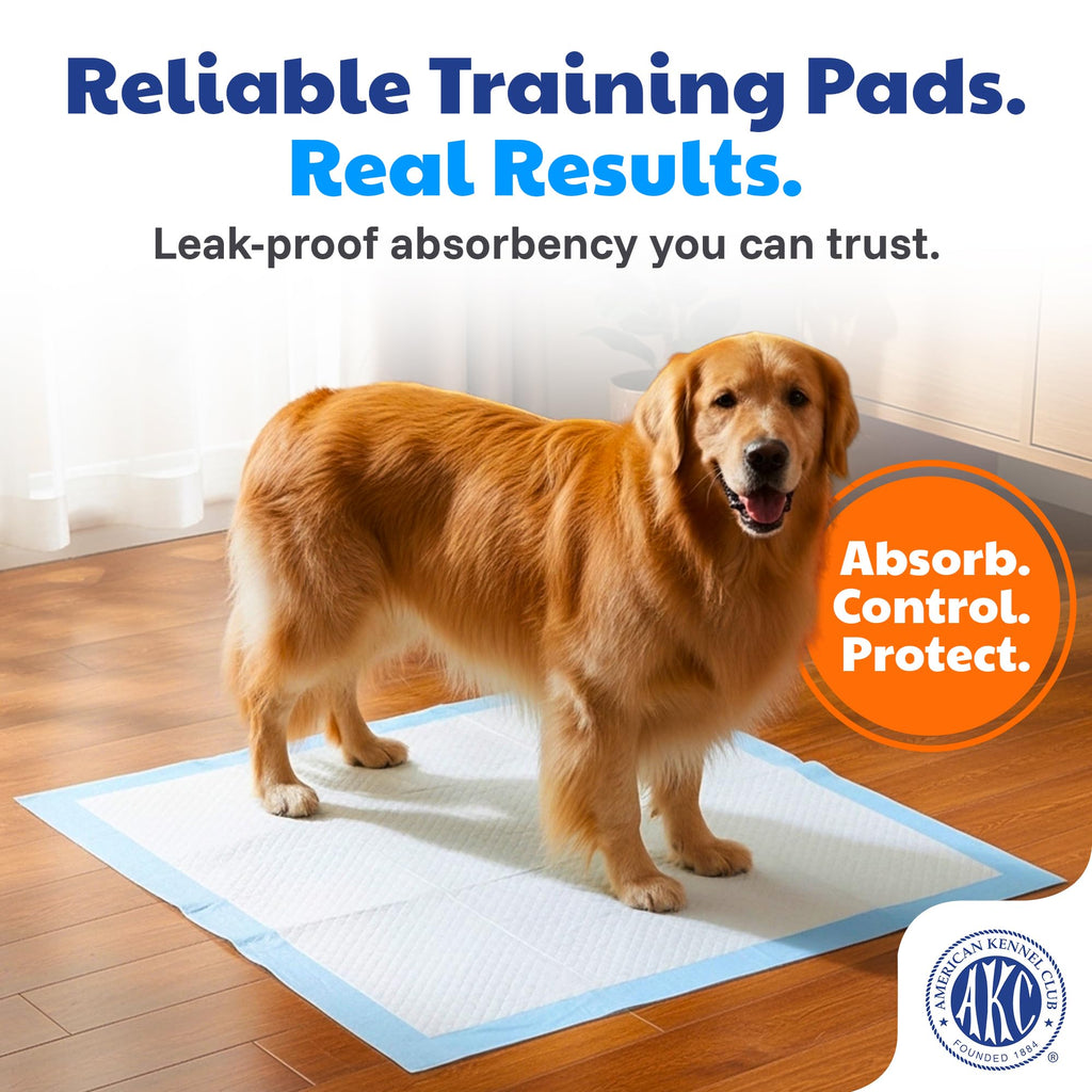 AKC Dog Training Pads, XL 28" x 30", Fresh Scent, 50 Count