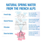 Evian Natural Spring Water (One Case of 12 Individual Bottles, each bottle is 1 liter) Naturally Filtered Spring Water in Large Bottles