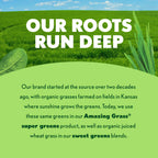 Amazing Grass Green Superfood Energy: Super Greens Powder & Plant Based Caffeine with Green Tea, Beet Root Powder & Flax Seed, Lemon Lime, 100 Servings (Packaging May Vary)