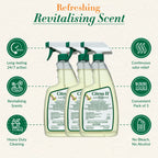 Citrus II Hospital Germicidal Deodorizing Cleaner - Fresh Citrus Scent - Disinfecting Spray Cleaner - 22 Fl Oz - Pack of 3