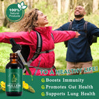 Mullein Drops for Lungs 4 Fl Oz - Mullein Leaf Extract for Lungs with Chlorophyll - Natural Herbal Supplement for Lung Cleanse, Respiratory Support, Boosts Immunity, Digestive Wellness