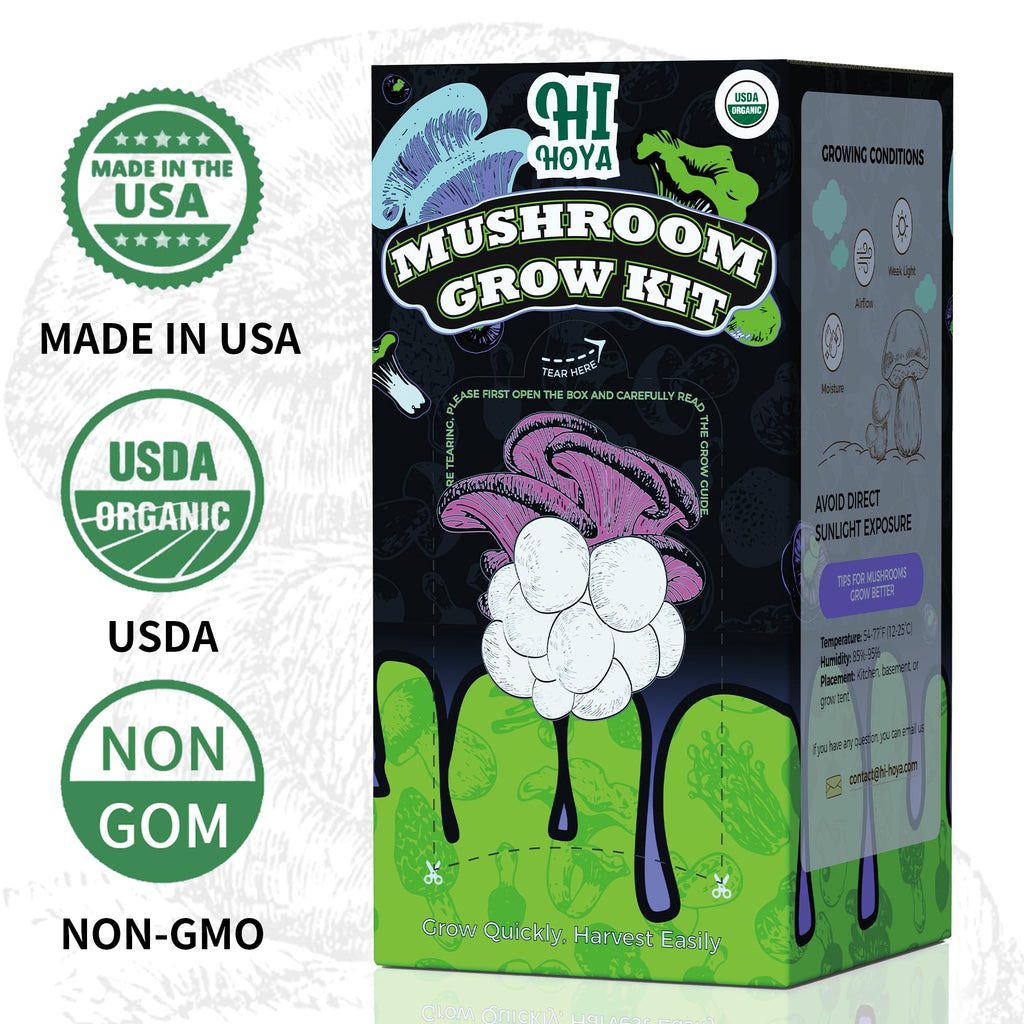 Organic Mushroom Growing Kit, Lion's Mane Mushroom Grow Kit with All Accessories, Grow Fresh Edible Mushrooms Indoor, USDA Certified Organic, Non-GMO, Easy to Grow at Home
