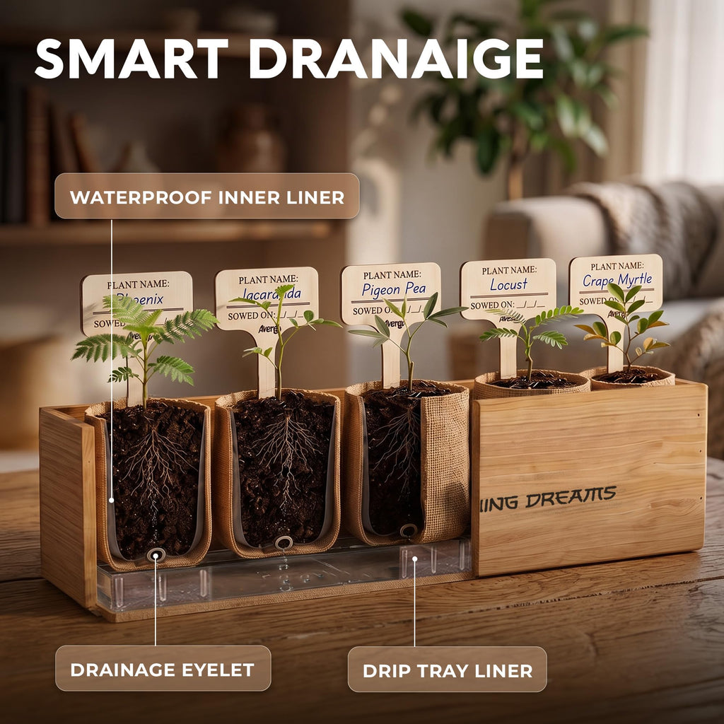 Bonsai Tree Kit Deluxe - Growing 5 Unique Japanese Bonzai Trees