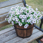 HyeFlora Artificial Flowers for Outdoor Indoor Garden Home Decoration, Faux Flower Daisy with Eucalyptus Leaves Fake Plants Greenery Boxwood Porch Patio, 12 Bundles (Creamy White)