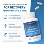 ALTAGAMMA Pure Amino Acids Complex - Protein for Pre/Post Workout, Energy & Muscle Recovery - 9 Essential Amino Acids Supplement (EAA) & BCAAs - Leucine, Lysine, L Tyrosine, L Arginine, 60 Capsules
