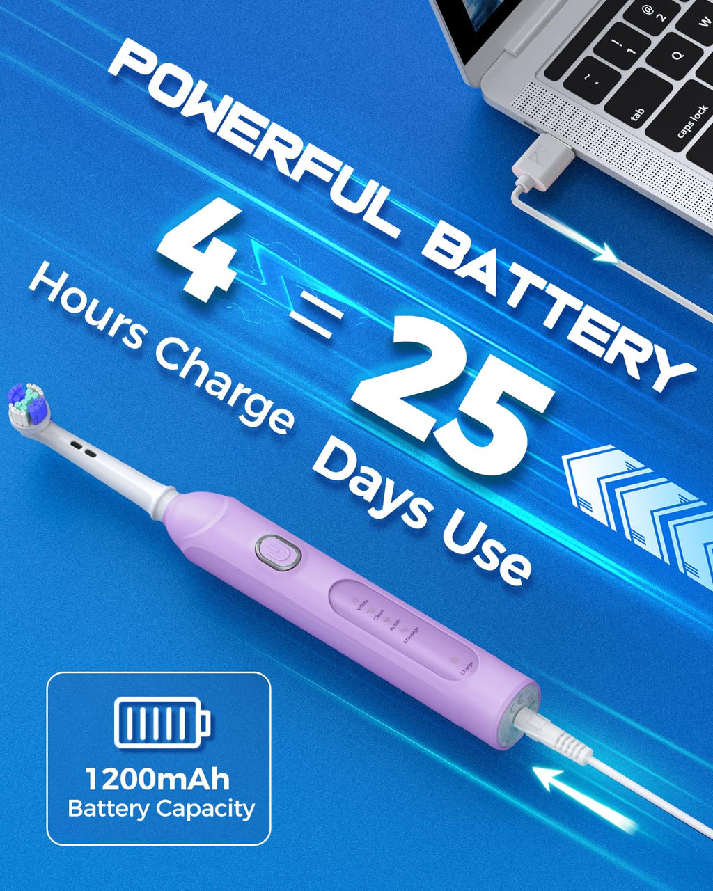TEETHEORY Rotating Electric Toothbrush for Adults with 8 Brush Heads (2 Types), 4 Modes Deep Clean Electric Toothbrush with Rechargeable Power and 2 Min Smart Timer Purple