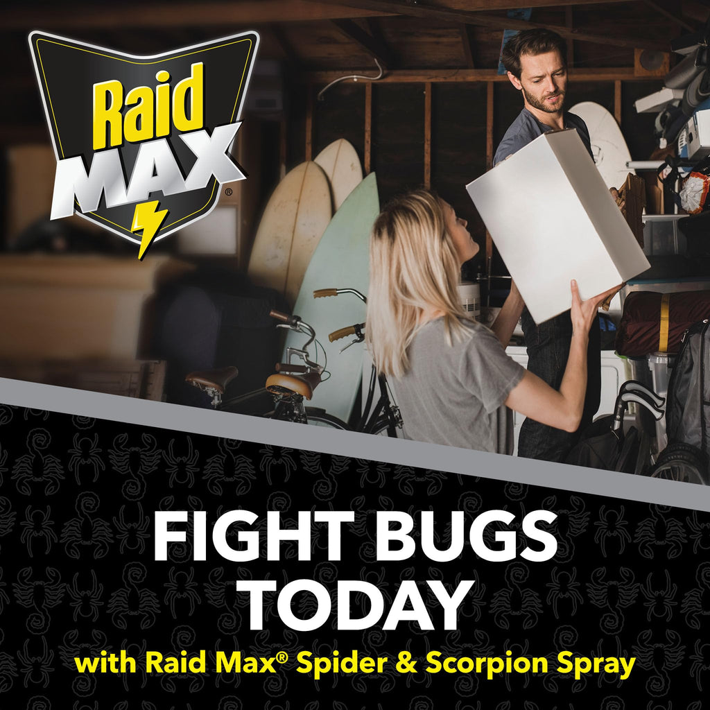 Raid Max Spider and Scorpion Killer, Kills Spiders, Scorpions, Roaches, Ants, Waterbugs, Earwigs, 12 Oz