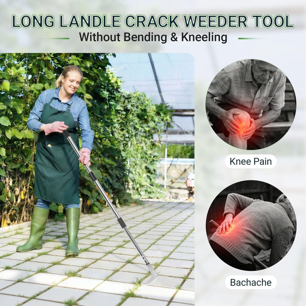 FIMXSD Crack Weeder Tool, 59-Inch Long Handle Crevice Weeding Tool with L-Shaped Stainless Steel Blade, Manual Weed Puller for Sidewalk, Driveway, Pavers, Patio and Deck Edges