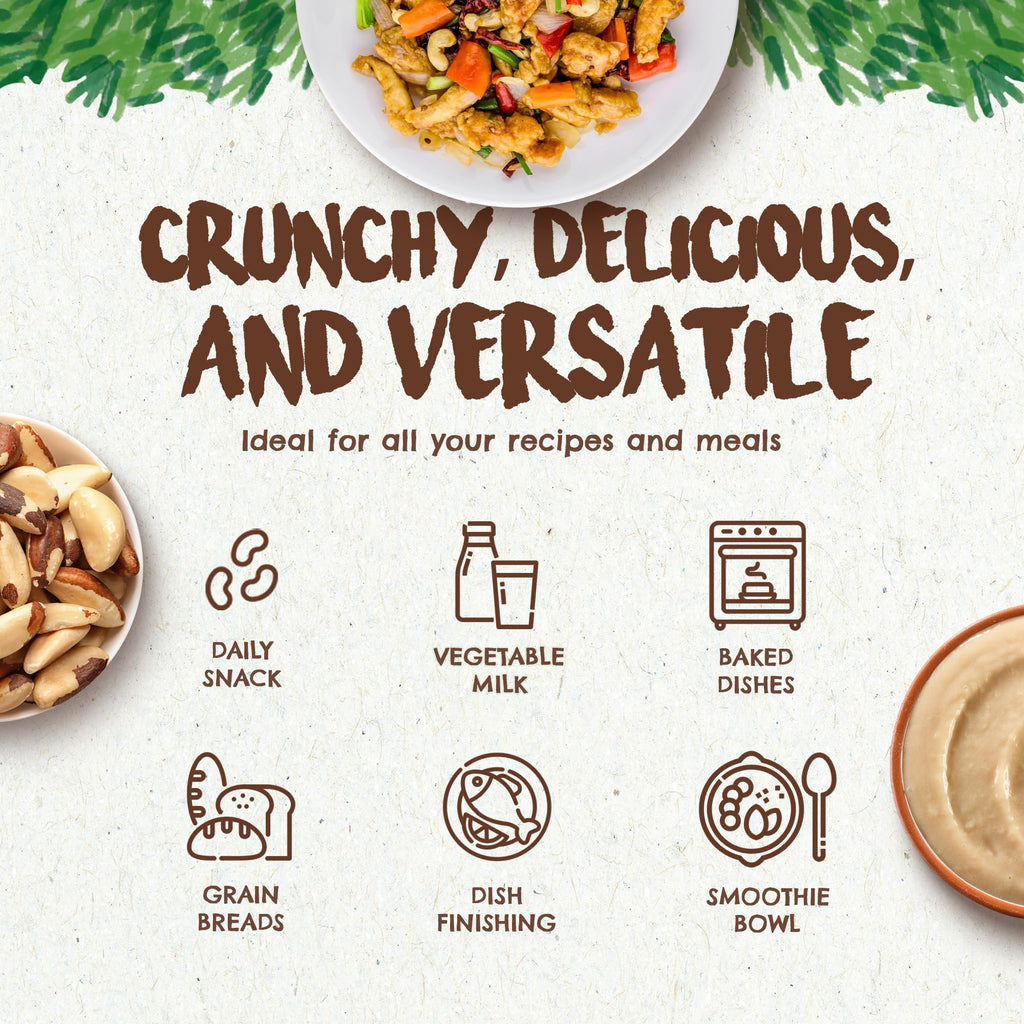 Snack The True Organic Brazil Nuts Medium Size 32 oz-2lbs – Raw and Unsalted – Kosher – Healthy-Rich in Vegetable Protein – Harvested in Amazon Rainforest – Fresh, Vegan and Gluten Free – Forest Up