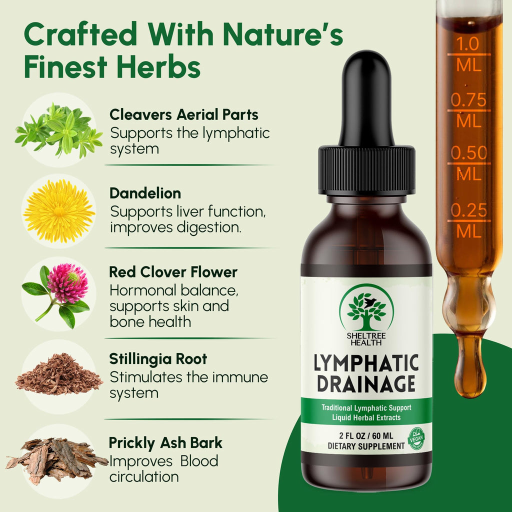 SHELTREE HEALTH Lymphatic Drainage Drops, 2 Fl. Oz | Organic Lymphatic Drainage Supplements with Cleavers, Red Clover Flower, Stillingia Root, Prickly Ash Bark, Dandelion | Vegan | Non-GMO