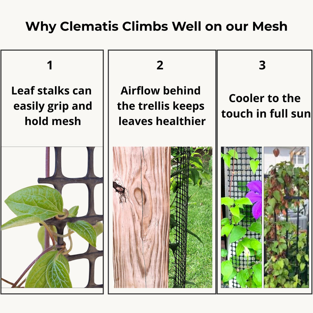 Deck Post Trellis for Clematis and Climbing Plants, 1-Pack