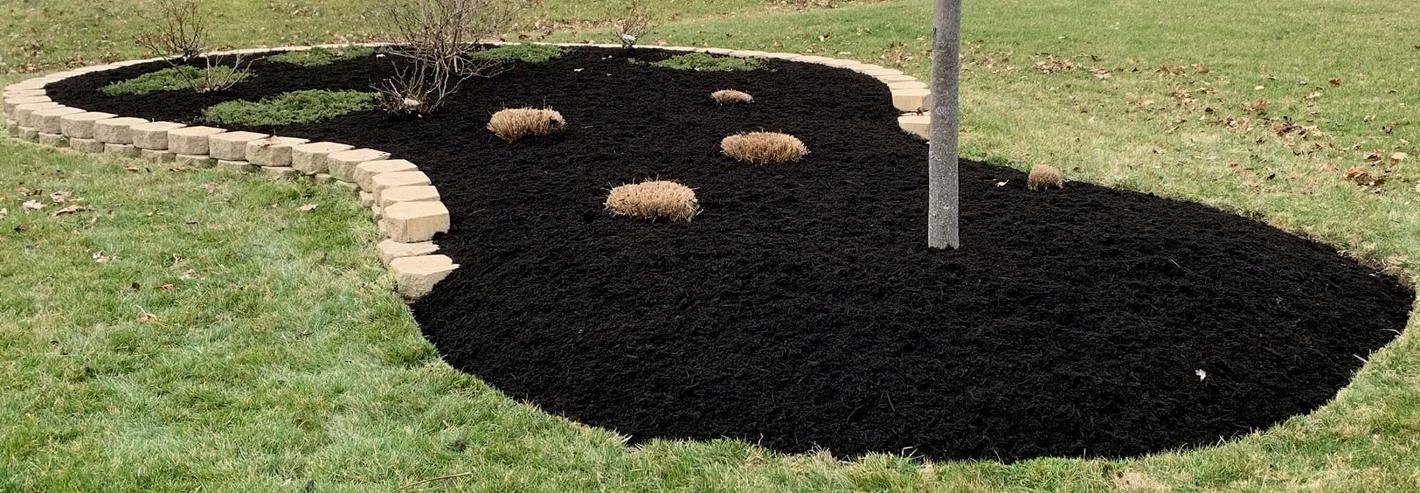 Peach Country Mulch Dye Midnight Black Quart, Mulch Paint Concentrate for Pump Sprayer Coverage Up to 2,800 Sq Ft, Water Based Landscape Color Restorer