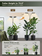 GLOWRIUM Tall Plant Grow Light for Indoor Plants, Full Spectrum Plant Light