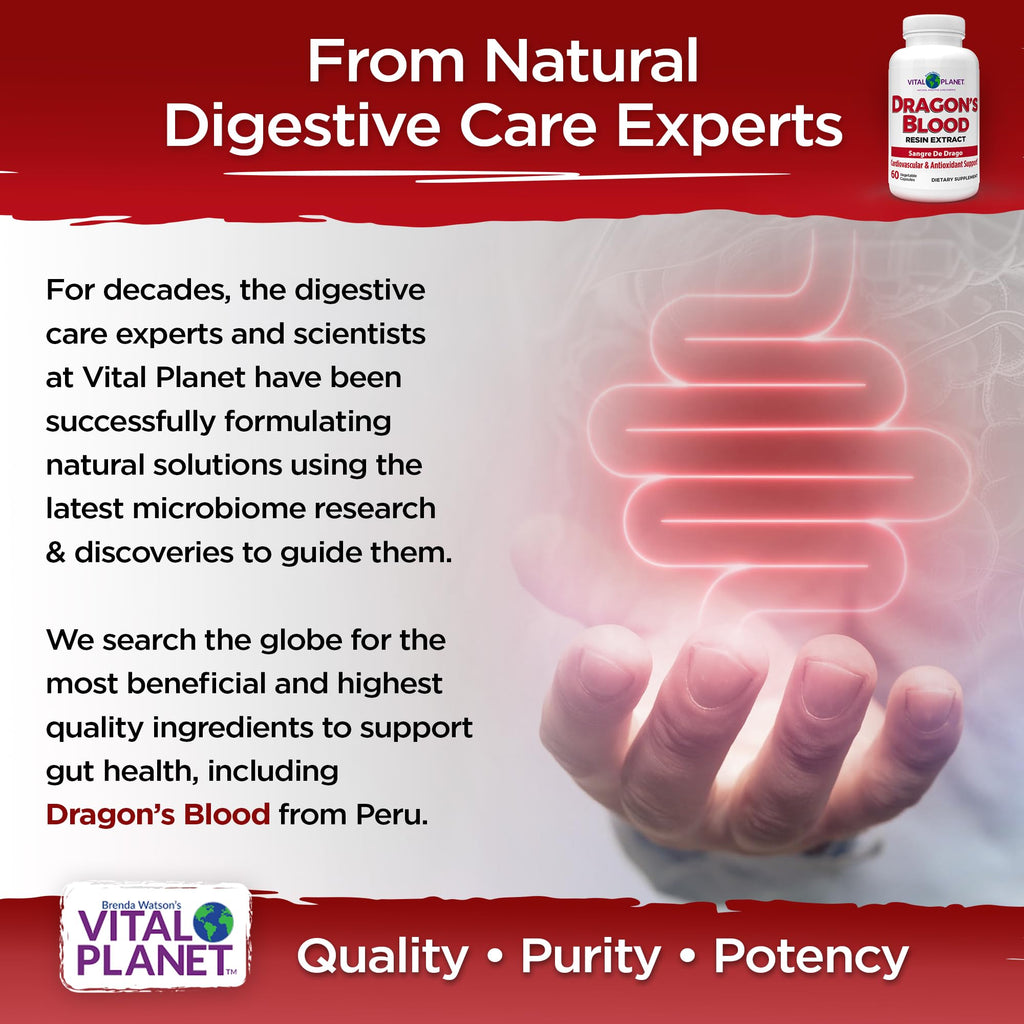 Vital Planet - Dragon's Blood Resin Extract Croton Lechleri Sangre de Drago (Sangre de Grado) Digestive Health Supplement Sustainably Sourced from Amazon Rainforest of Peru, 500mg 60 Capsules