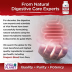Vital Planet - Dragon's Blood Resin Extract Croton Lechleri Sangre de Drago (Sangre de Grado) Digestive Health Supplement Sustainably Sourced from Amazon Rainforest of Peru, 500mg 60 Capsules