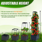 Biotolot 2 Packs Raised Garden Bed Tomato Planter Box with Trellis,44.8" Self-Watering Tomato Cage with Trapezoidal Trellis for Climbing Plants Flowers Vegetables Vine in Patio Garden Indoor Outdoor