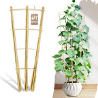 Avalution 10 Pack Bamboo Trellis for Climbing Plants, 4 FT Garden Ladder Trellis for Potted Plants Indoor, Fan-Shaped Small Plant Support Trellis for Houseplants Ivy Hoya Vine Monstera