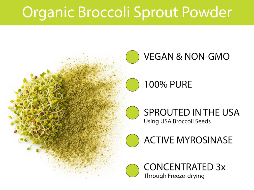 KOYAH - Organic USA Broccoli Sprout Powder (1 Scoop = 1/4 Cup Sprouts): 36 Servings, Freeze-Dried, Tested for Active Myrosinase and Glucoraphanin (Sulforaphane Glucosinolate)