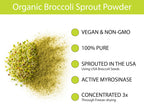 KOYAH - Organic USA Broccoli Sprout Powder (1 Scoop = 1/4 Cup Sprouts): 36 Servings, Freeze-Dried, Tested for Active Myrosinase and Glucoraphanin (Sulforaphane Glucosinolate)