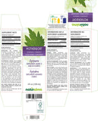 Naturalma Motherwort (Leonurus cardiaca) herb with Flowers Alcohol-Free Tincture - 4 fl oz Liquid Extract in Drops - Herbal Supplement - Vegan