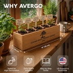Bonsai Tree Kit Deluxe - Growing 5 Unique Japanese Bonzai Trees