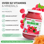 EverSmith Organics - Wildcrafted Irish Sea Moss Gel | Made in USA | Rich in Nutrients | Sea Moss Gel Raw | Jarred Vegetables & Fruits | Raspberry (1 Jar)