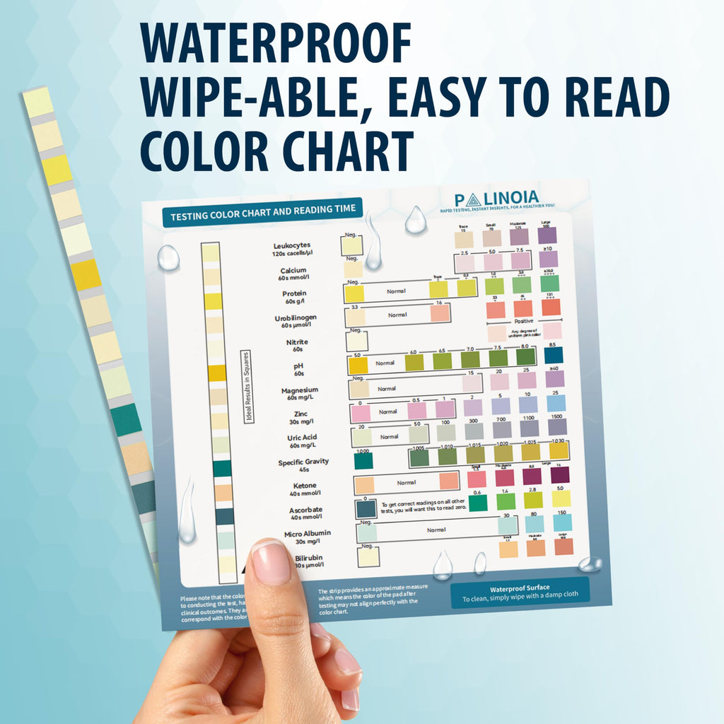 14-in-1 Full Panel Urine Test Strips for Urinalysis | 120 Strips in Resealable Pouches – Test for Kidney Health, Liver Function, UTI, Ketosis, Hydration, and Protein Levels