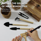 Bonsai Tree Starter Kit for Beginners - Indoor Live Plant Gardening Adult Craft DIY Kits - Unique Christmas, Birthday, White Elephant Gifts for Women, Men, Boys & Girls