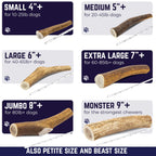 Devil Dog Pet Co Whole Elk Antlers for Dogs, Medium, Aggressive Chewers
