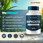 Uriprostat Prostate Health Supplements for Men Capsules, Official Uriprostat All Natural Support Pills - Maximum Strength for Daily Wellness, Uri Prostat Health Support Reviews (5 Pack)