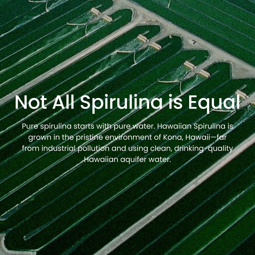 Nutrex Spirulina Superfood, 9.53 oz