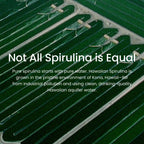 Nutrex Spirulina Superfood, 9.53 oz