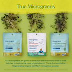 True Grace Broccoli Microgreens - 0.4 oz - Daily Superfood Powder for Cellular & Immune Health - Gluten & Soy Free, Vegan, Regenerative Organic Certified - 30 Servings