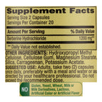 Berberine Herbal Supplement, 1200 mg, 40 Vegetarian Capsules, Pack 1