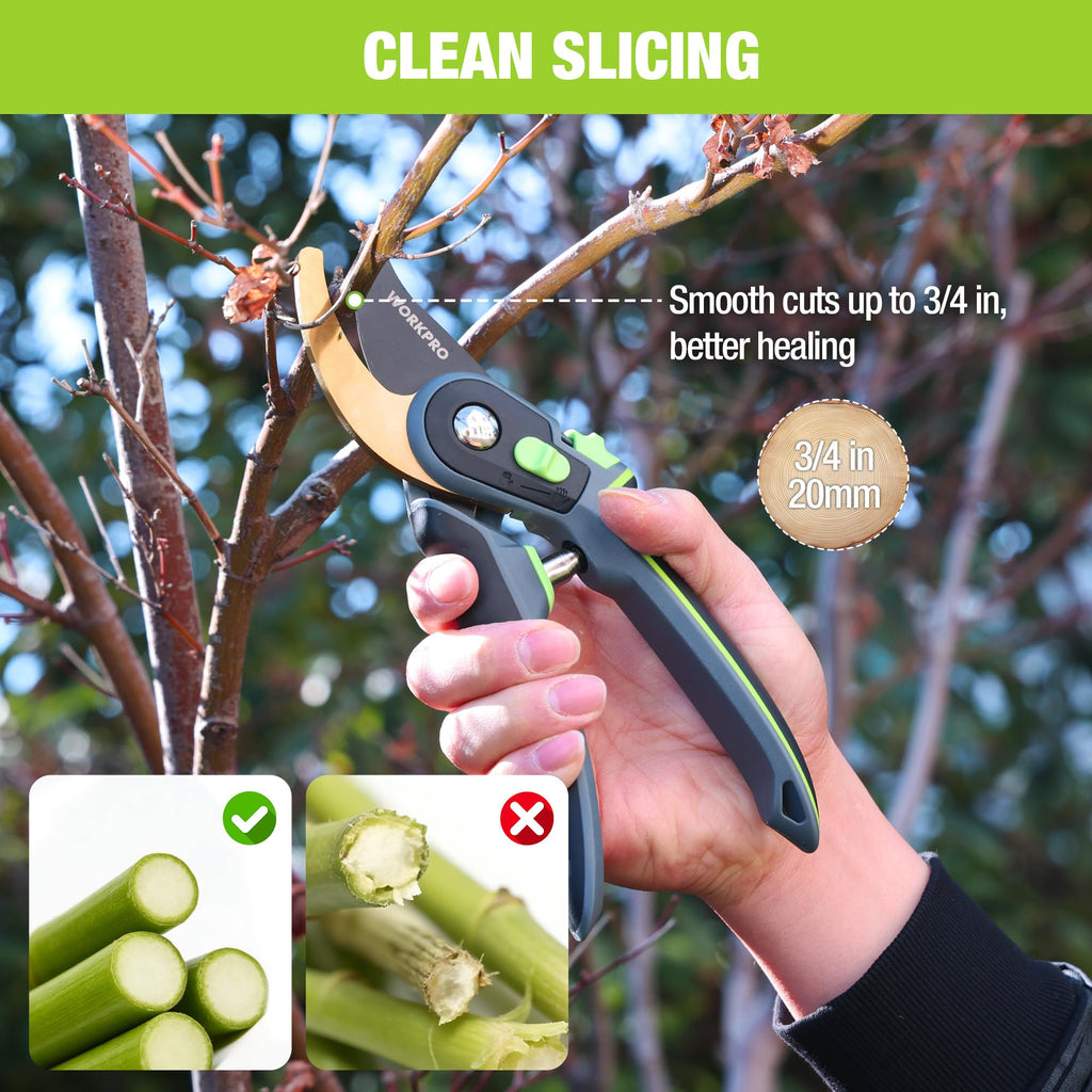 WORKPRO 9" Bypass Pruning Shears, Garden Shears with Titanium Coated