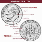 1882 Morgan Dollar Uncirculated Silver $1 Coin