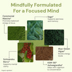 ION* Intelligence of Nature Focused Mind Nootropic Drink Mix, 5 Packets