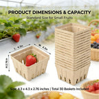 40 Pack Natural Pulp Fiber Berry Basket,Small Molded Produce Vented Basket
