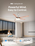 DREO Smart Ceiling Fan with Lights, 52 Inch, 12 Speeds & 3 Fan Modes, Stepless Color Tones, Dimmable LED Light, 12H Timer, Quiet DC Motor, Remote/APP/Alexa Control, Silver Ceiling Fans Indoor