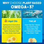 Vegan Omega-3 Gummies 1000mg +CoQ10+Magnesium- EPA 600mg DHA 400mg, Fish Oil Omega 3 Supplements Alternative for Women Men Adults, Liposomal, Algae, Plant Sterols, Garlic,B6,B9, B12, Sugar Free, 2Pack